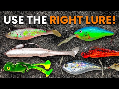 Ultimate Beginner Fishing Lure Guide (When & How To Use Lures)