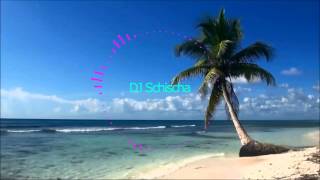 Luke Christopher - Life Jackets DJ Schischa Electro Remix