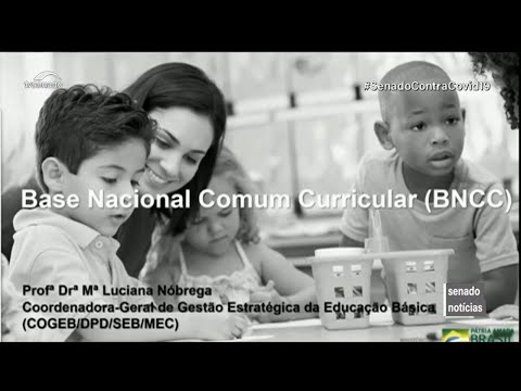 Base Nacional Comum Curricular é discutida na Comissão de Educação nesta quinta