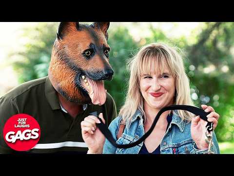 Best Of Furry Prank 🐶 | Just For Laughs Gags