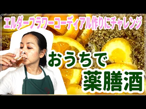 医療ビジネス薬科学科 おうちで薬膳酒！？エルダーフラワーコーディアルを作ってみよう！