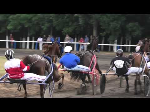 Trka "Dominik Locqueneux" 13.07.2019 Estrella de Launi - Vladimir Pribić