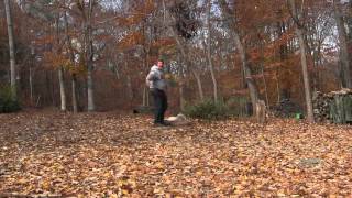 preview picture of video 'Georgie  | Golden Retriever Puppy Training Greensboro NC'