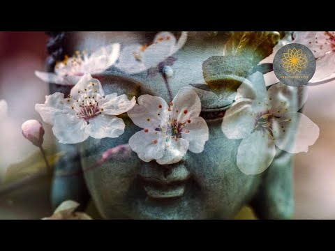 Meditation Music | Healing Music During the Challenges of Isolation