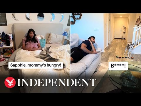 Wife teaches dog how to 'speak' to boss husband around