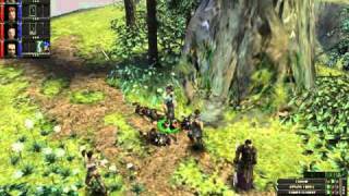 Dungeon Siege Demo videosu