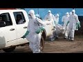 Ebola virus outbreak: the impact so far in 60 seconds ...