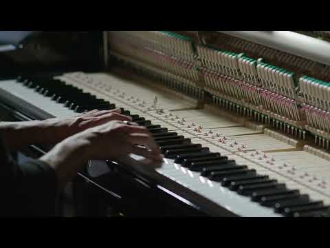 Variations (On Felt) - Alfonso Peduto