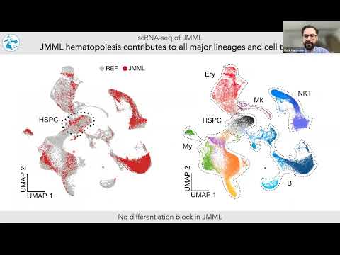 SCOG Virtual Lecture Series - Mark Hartmann (DKFZ, Heidelberg)