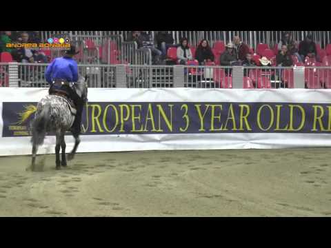 GIUSEPPE PREVOSTI & BOEMIL TWIN ROBOTOP 2015