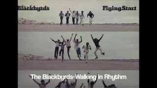 The Blackbyrds ~ Walking In Rhythm