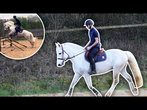 IL ÉTAIT COMPLÈTEMENT FOU 😱