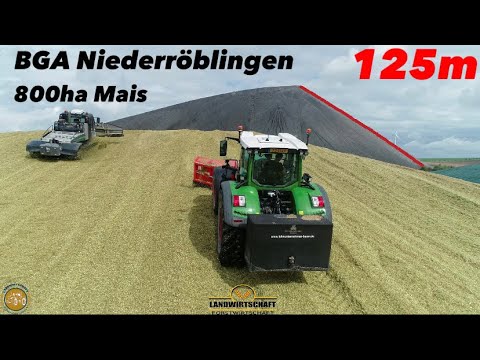 BGA Niederröblingen 800ha Mais silieren an der 125m hohen Abraumhalde 3 LU's J-Reiff, Bauer, KETT