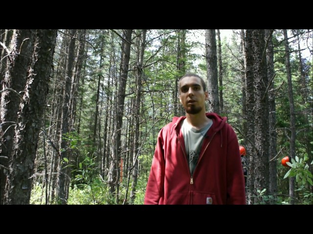 Les cours en vidéoconférence à la MGDEF – par Fabien