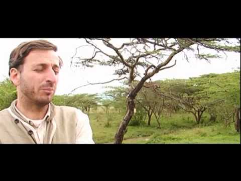 Pastoralism & sustainable livelihoods