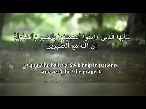 Al Quran-Surah Al baqarah-Ayat (153-157)#peaceful#positivevibes#whatsappstatus