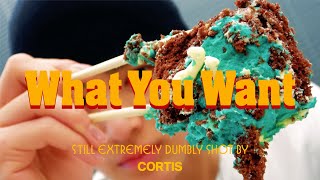 Download lagu CORTIS (코르티스) 'What You Want' MV (Original Ver.) mp3