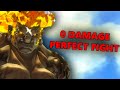 Beating Demise Without Taking ANY Damage