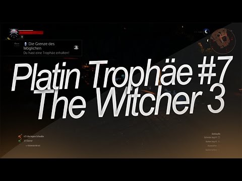 Platin Trophäe #7 [The Witcher 3]