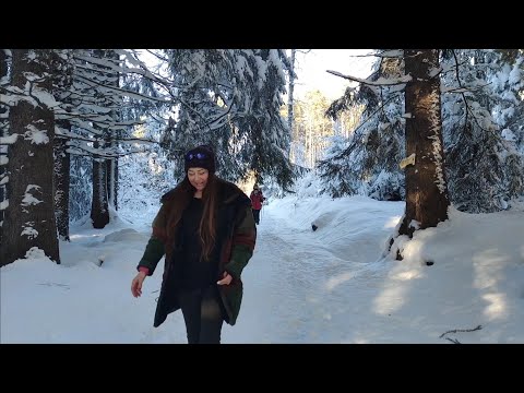 A snowy walk in the Vitosha Mountain/ How to go by bus from the city of Sofia