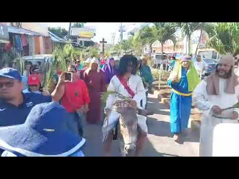 Domingo de Ramos (cover) #juticalpa #olancho #parroquiacatedral #cuaresma #eucaristía 
