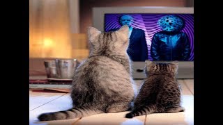 Say It To Me (Moodyboy Remix) Pet Shop Boys