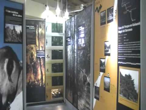 Visita virtual a la Casa del Parque El Risquillo