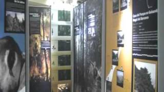 Visita virtual a la Casa del Parque El Risquillo