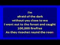 Magnetic Fields -  100,000 Fireflies (karaoke)