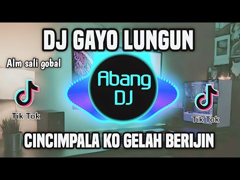 DJ LUNGUN GAYO PERALA REMIX VIRAL TIKTOK TERBARU 2023