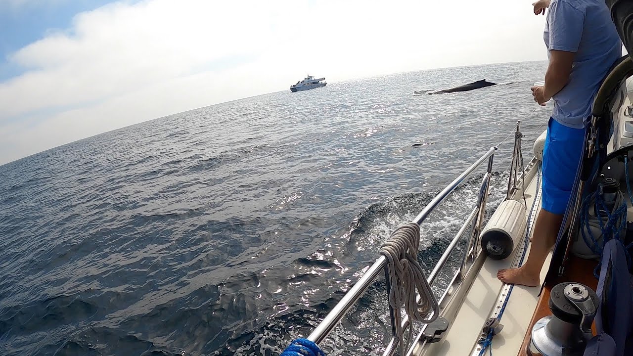 Anchoring at White Cove, Catalina Island (October 2020)