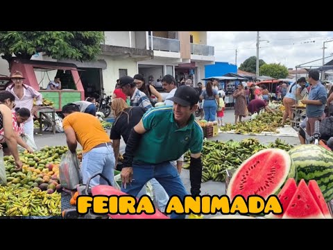 FEIRA LIVRE DE GADO BRAVO PARAÍBA 12/10/2025 