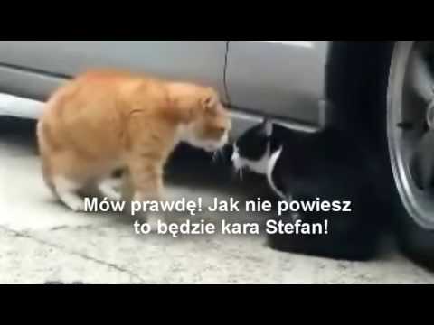 Gdzie byłeś całą noc!?