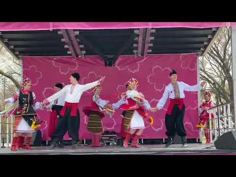 Hopak - 2022 National Cherry Blossom Festival