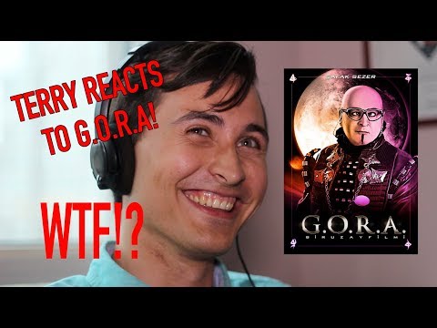 Terry Reacts To G.O.R.A (Opening Scene)