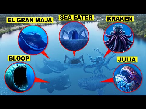 DROHNE überwacht KRAKEN, EL GRAN MAJA, JULIA BEAST, SEA EATER, BLOOP und MEHR...