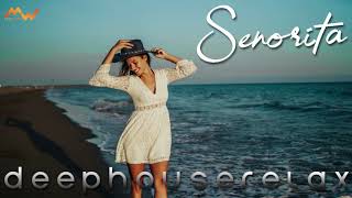 Senorita / Miami song artwork