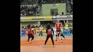 Download lagu STORY WA VOLLY BALL (VOLI ASIK) mp3