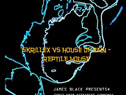 skrillex vs house of pain - reptile house.wmv
