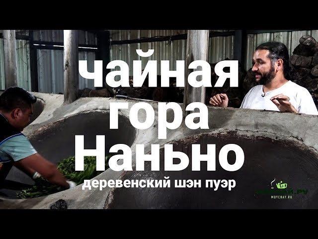 Чайная гора Наньно, весна 2018. Деревенский шэн пуэр