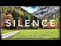 Silence 4 Hours Of Nothing Quiet Ambience Sound Effect Soft Wind Study Mountain 308