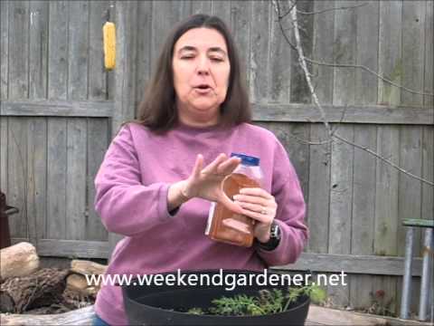 YouTube video about: Does cayenne pepper stop cats from pooping in your yard?