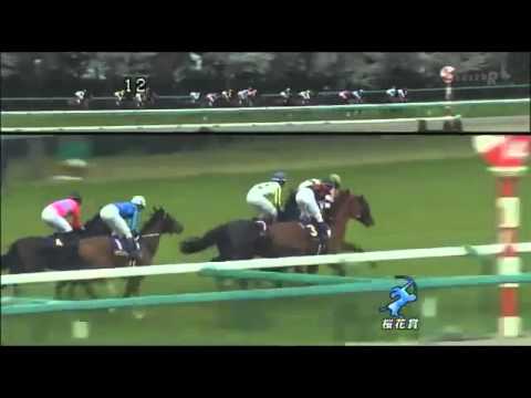 2014年 第74回桜花賞（G1) OKA SHO JAPANESE 1000 GUINEAS G1