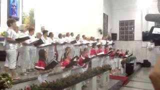 Jesus Nasceu, letra e música Gisele Afeche