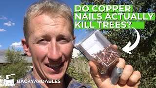 Do Copper Nails Actually Kill Trees?