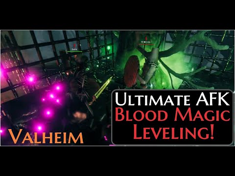 Ultimate AFK Blood Magic Leveling! | Valheim