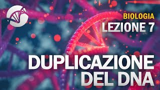 BIOLOGIA - Lezione 7 - Duplicazione del DNA