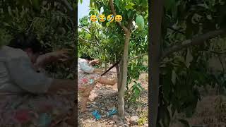 Download lagu cawet kecantol mp3 Download lagu cawet kecantol mp3