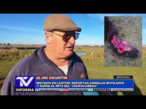 MARCIANOS,CHUPACABRAS?.TESTIMONIO DE ELVIO VICENTIN EN LANTERI Santa Fe.