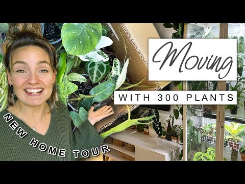 Moving House With 300 Houseplants 🌿📦 New Home Tour + Moving Vlog